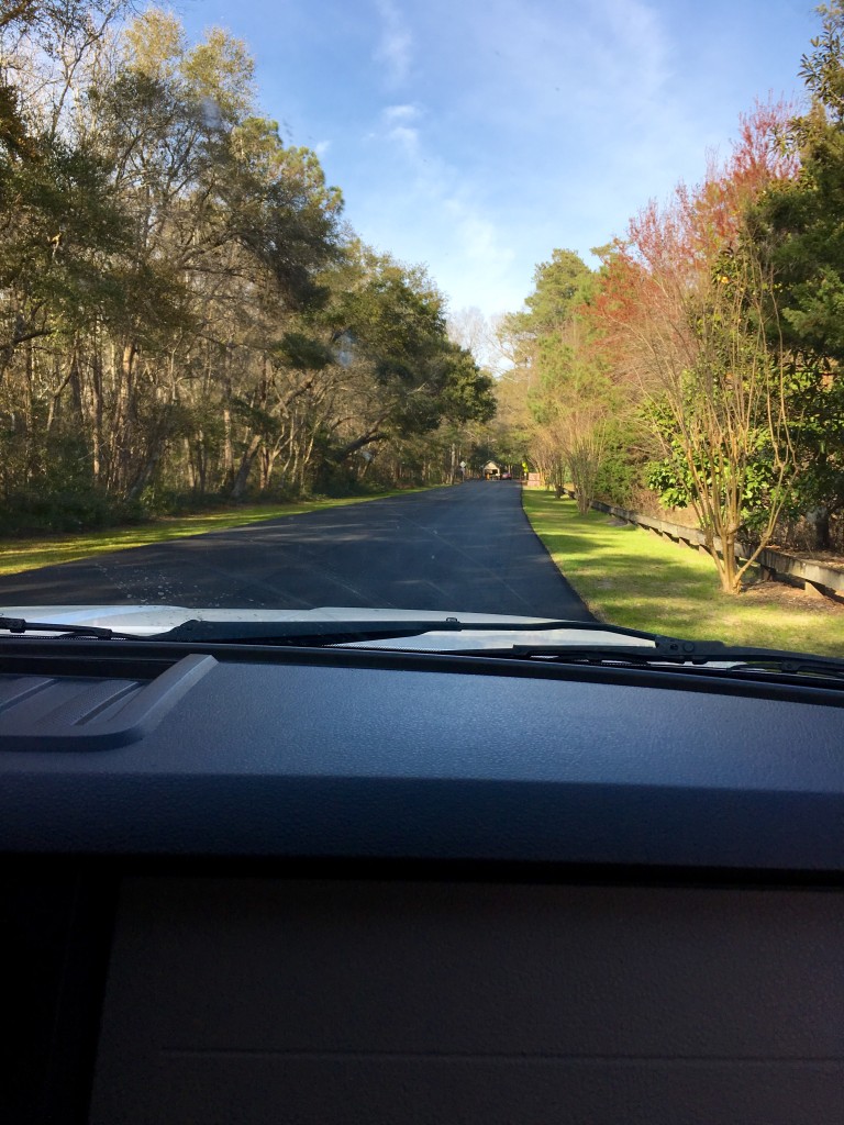 Pulling into this gorgeous park. All the blacktop throughout the park was just resurfaced a couple of weeks ago. Perfect timing for our visit!